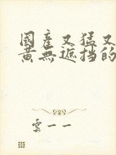 国产又猛又爽又黄无遮挡的视频