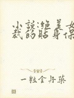 小说:绝美女总裁的贴身保安