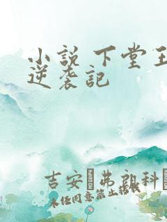 小说 下堂王妃逆袭记