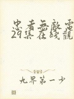 忠者无敌电视剧29集在线观看