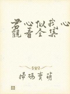 君心似我心免费观看全集