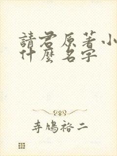 请君原著小说叫什么名字