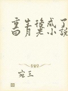 重生后成了前夫白月光小说最新章节