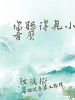 你听得见小说好看么