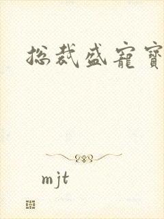 总裁盛宠宝贝妻