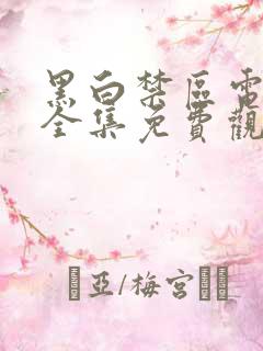 黑白禁区电视剧全集免费观看完整版