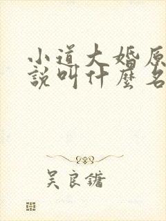 小道大婚原著小说叫什么名字