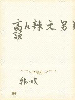 高h辣文另类小说