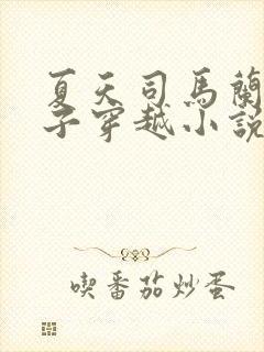 夏天司马兰九皇子穿越小说免费阅读