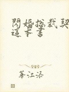 闪婚总裁契约妻这本书