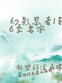 幻影忍者1到16季名字