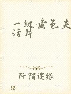 一级黄色夫妻生活片