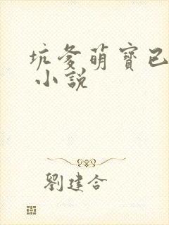 坑爹萌宝已上线 小说