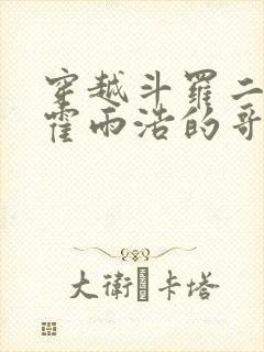 穿越斗罗二成为霍雨浩的哥哥