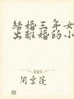 结婚三年女主提出离婚的小说