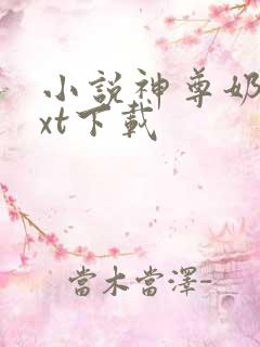 小说神尊奶爸txt下载