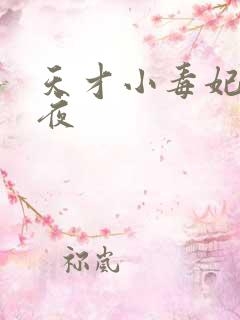 天才小毒妃龙非夜