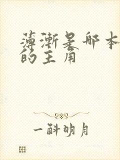 薄渐是哪本小说的主角