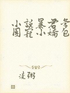 小说暴君爹爹的团宠小娇包全文