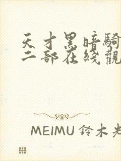 天才黑暗骑士第二部在线观看免费