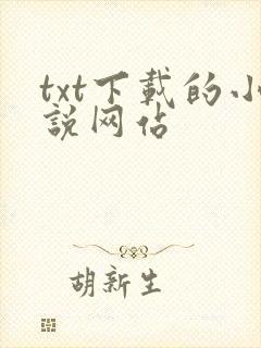 txt下载的小说网站