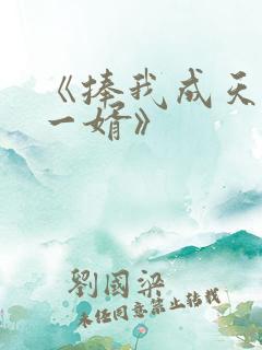 《捧我成天下第一婿》