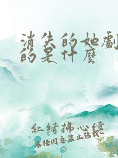 消失的她剧情讲的是什么