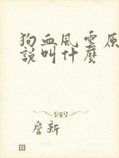 狗血风云原著小说叫什么