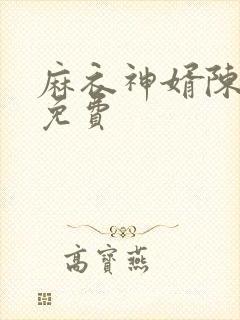 麻衣神婿陈黄皮免费