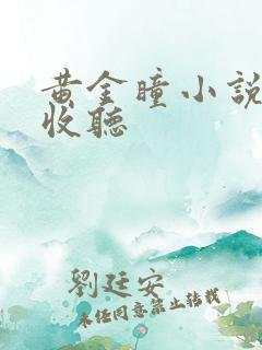 黄金瞳小说在线收听