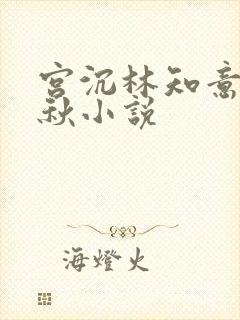 宫沉林知意宋婉秋小说