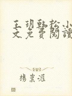 王玥韩松小说全文免费阅读