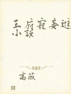 王府宠妾进阶录小说