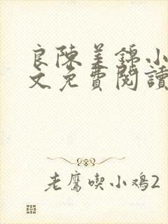 良陈美锦小说全文免费阅读未删减