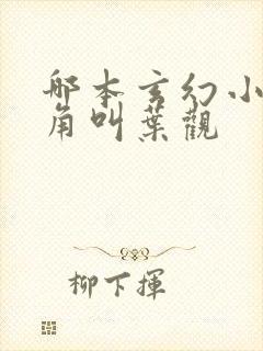 哪本玄幻小说主角叫叶观