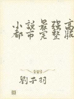 小说最强高手在都市完整版