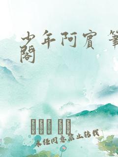 少年阿宾 笔趣阁