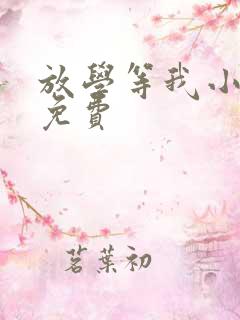 放学等我小说版免费