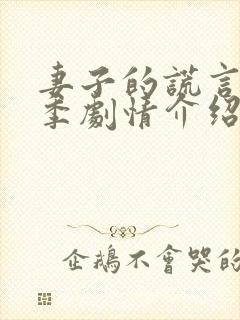 妻子的谎言第一季剧情介绍