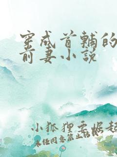 穿成首辅的炮灰前妻小说