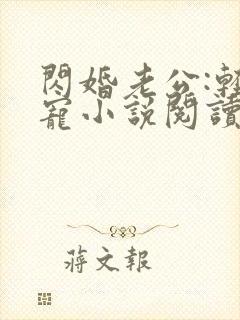 闪婚老公:轻点宠小说阅读全部