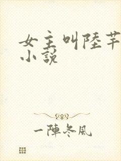 女主叫陆芊芊的小说