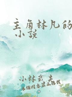 主角林凡的小说 小说