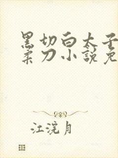 黑切白太子的温柔刀小说免费阅读无弹窗