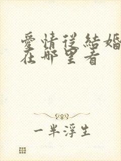 爱情从结婚开始在哪里看