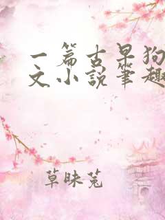 一篇古早狗血虐文小说笔趣阁