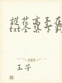 护花高手在都市txt全集下载