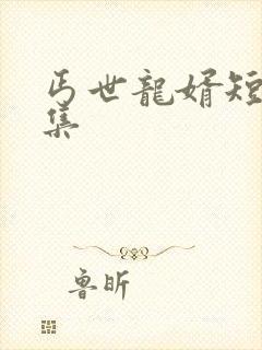 丐世龙婿短剧合集