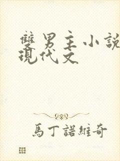 双男主小说推荐现代文