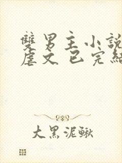 双男主小说推文虐文 已完结